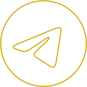 Telegram Icon